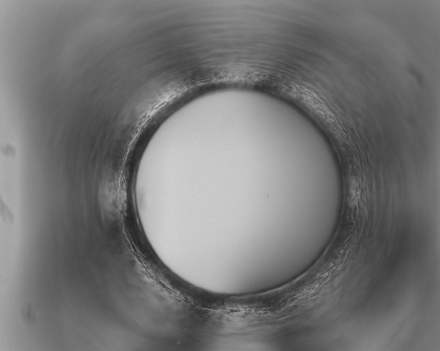 X0000091090632200708061638