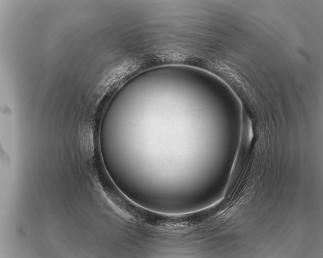 X0000091090638200708061638