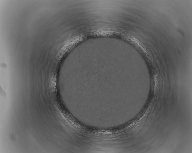 X0000091090640200708061638