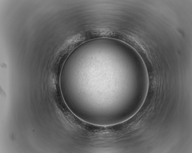 X0000091090643200708061638