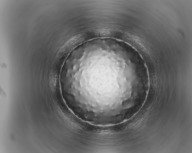 X0000091090645200708061638