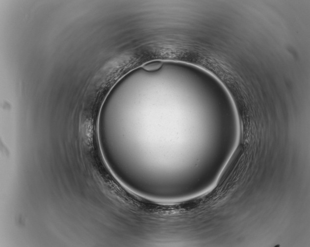 X0000091090646200708061638