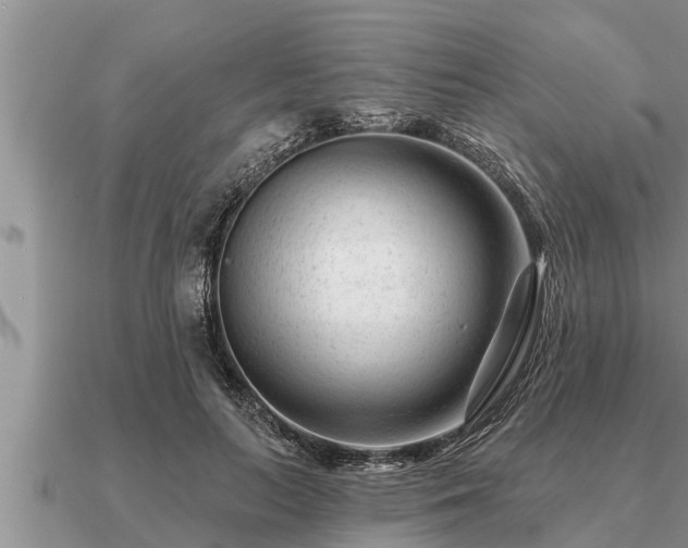 X0000091090647200708061638