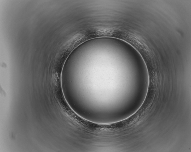 X0000091090649200708061638