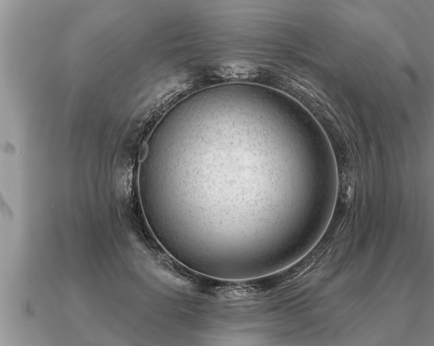 X0000091090652200708061638