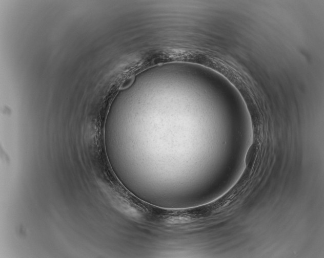 X0000091090653200708061638