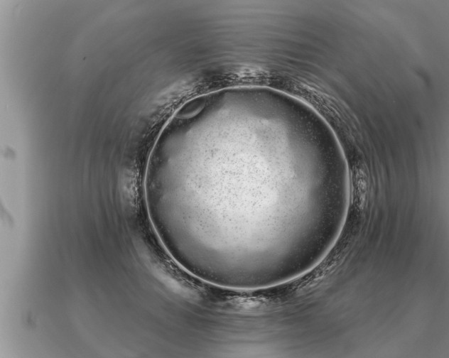 X0000091090654200708061638