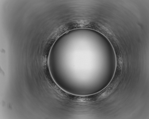 X0000091090657200708061638