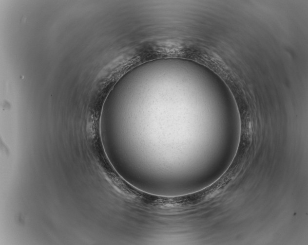X0000091090658200708061638