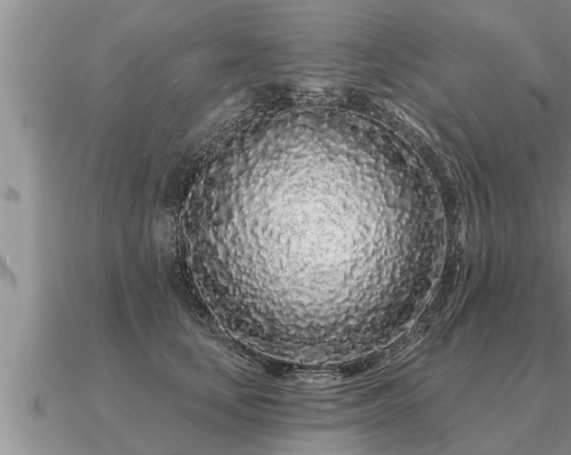 X0000091090659200708061638