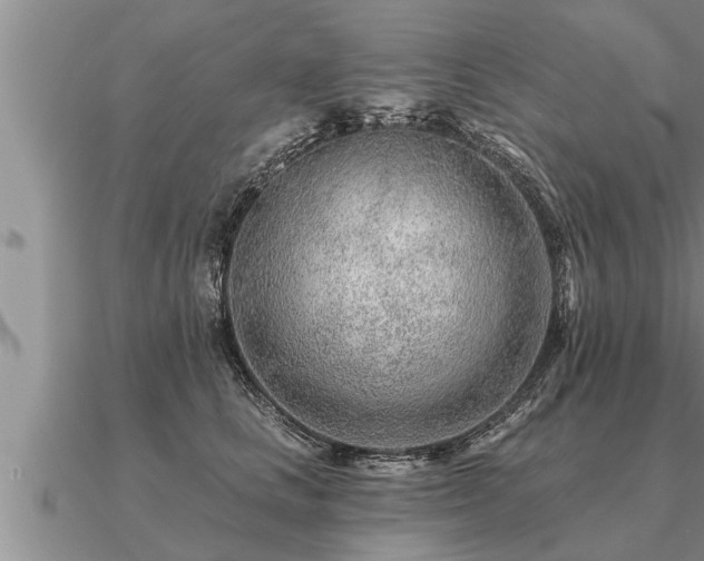 X0000091090661200708061638