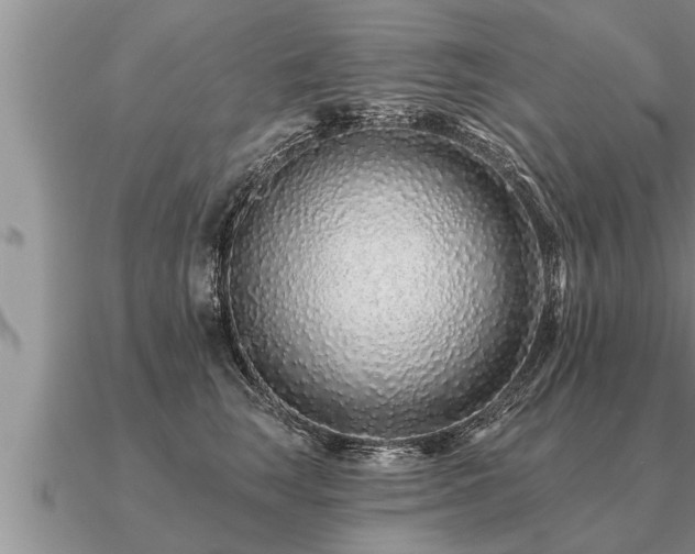X0000091090663200708061638