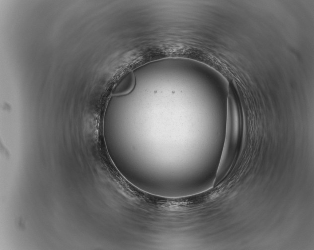 X0000091090664200708061638