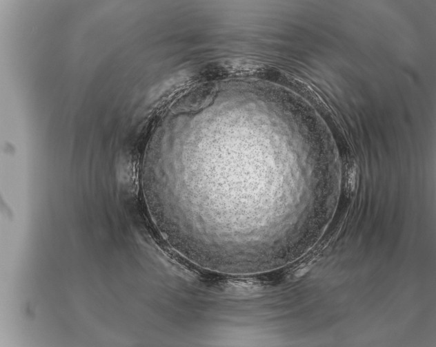 X0000091090666200708061638