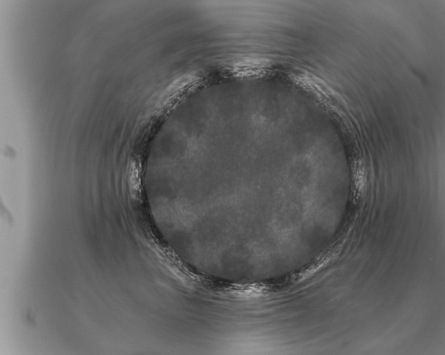 X0000091090667200708061638