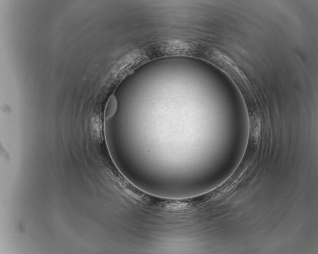 X0000091090669200708061638