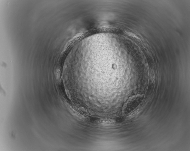 X0000091090670200708061638