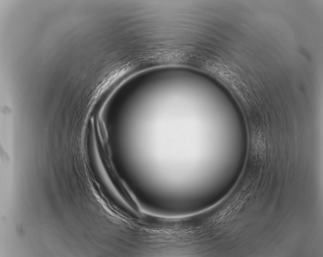 X0000091090674200708061637