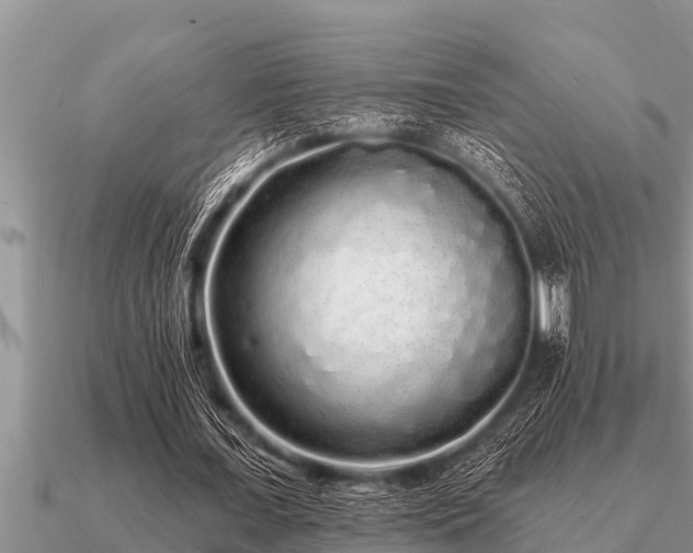 X0000091090675200708061637