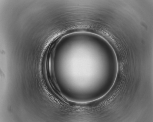 X0000091090676200708061637