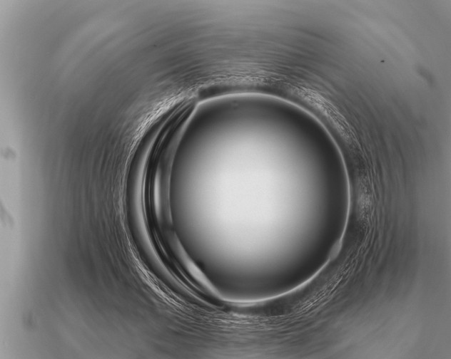 X0000091090677200708061637