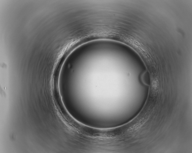 X0000091090678200708061637