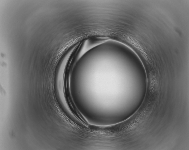 X0000091090681200708061637