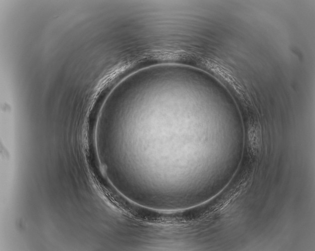 X0000091090682200708061637