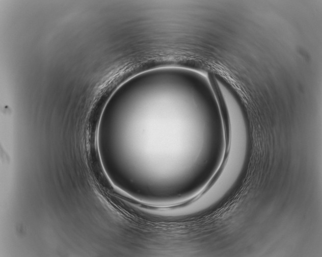 X0000091090683200708061637