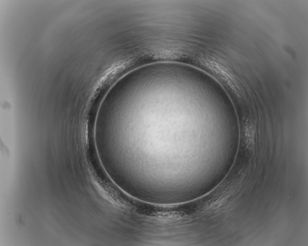 X0000091090686200708061637