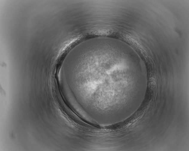 X0000091090688200708061637
