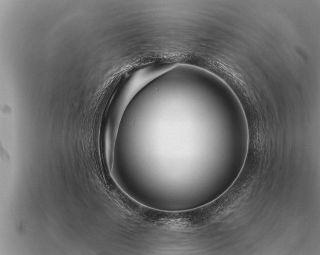 X0000091090689200708061637