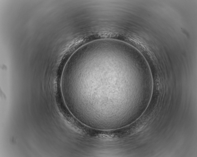 X0000091090690200708061637