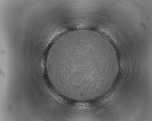 X0000091090691200708061637