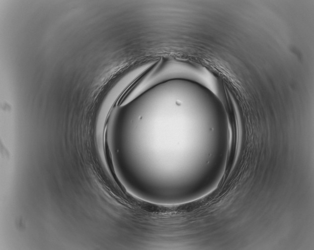 X0000091090692200708061637