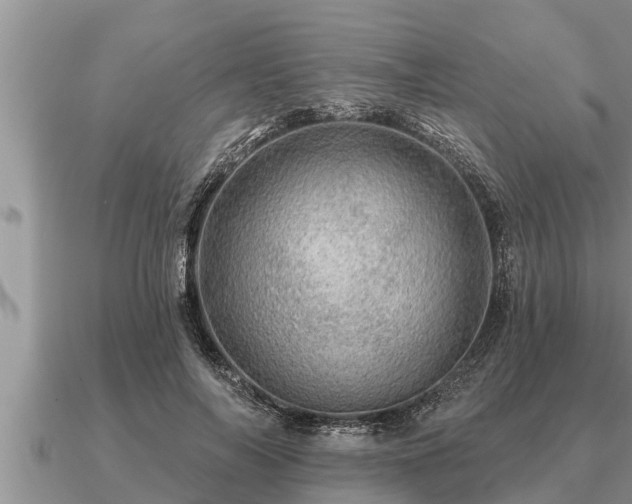 X0000091090694200708061637