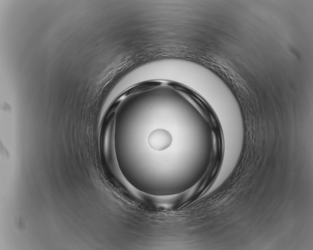 X0000091090696200708061637