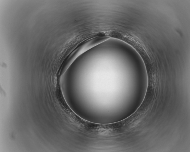 X0000091090697200708061637