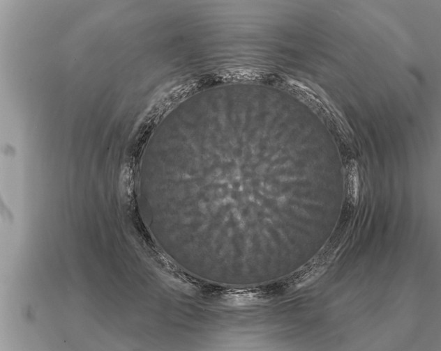 X0000091090701200708061637