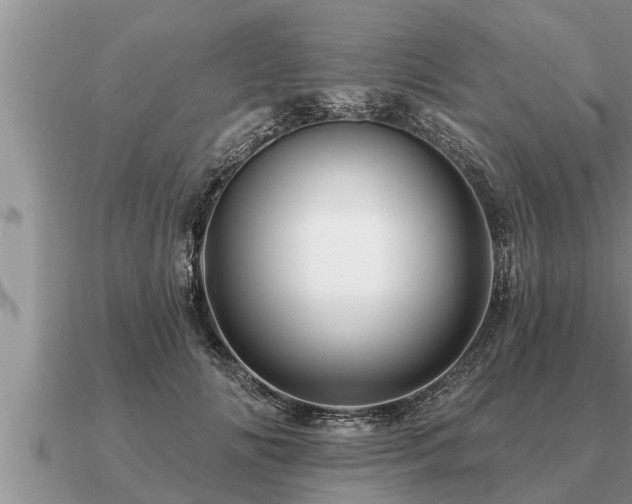 X0000091090702200708061637