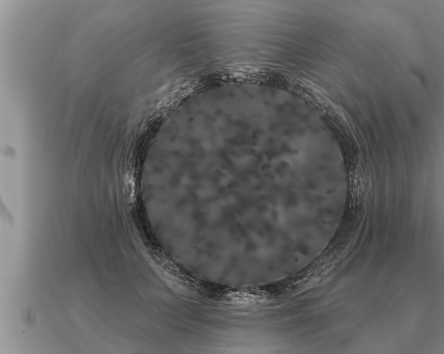 X0000091090703200708061637