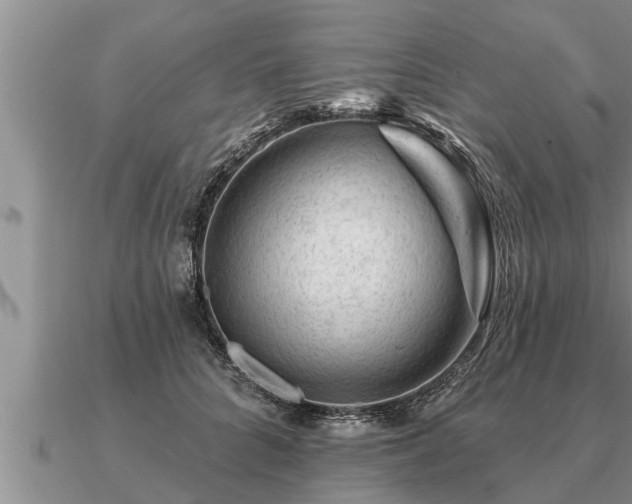 X0000091090704200708061637