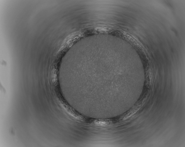 X0000091090706200708061637