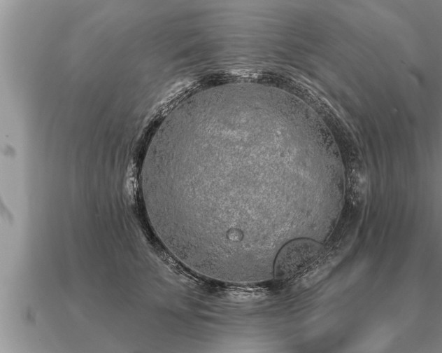 X0000091090707200708061637