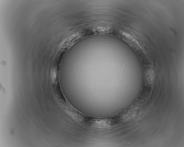 X0000091090709200708061637