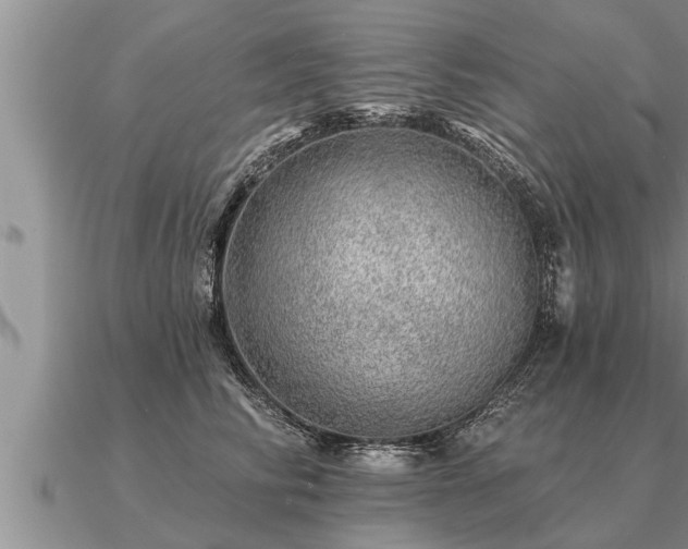 X0000091090710200708061637