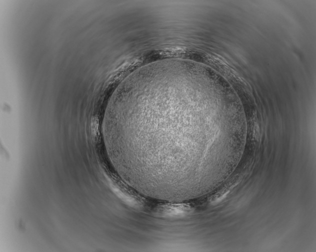 X0000091090711200708061637