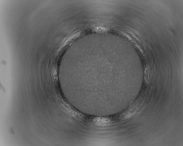 X0000091090714200708061637