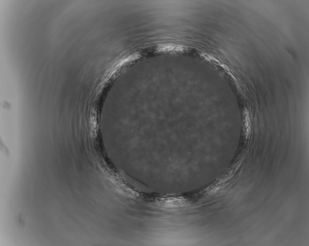 X0000091090716200708061637