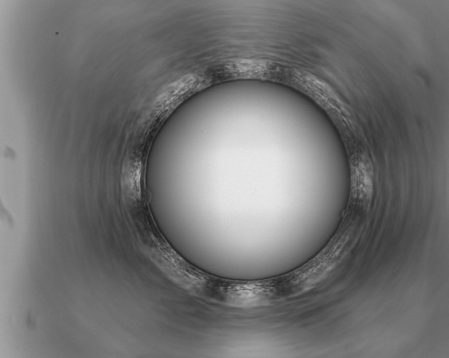 X0000091090717200708061637
